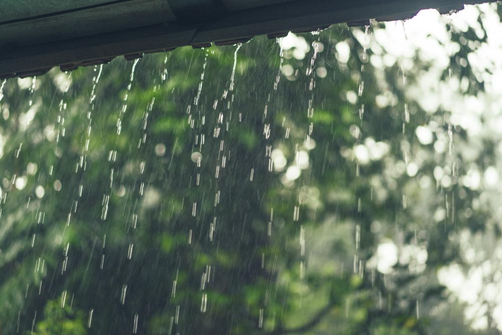 rain-in-gutters image Gutter Cleaning