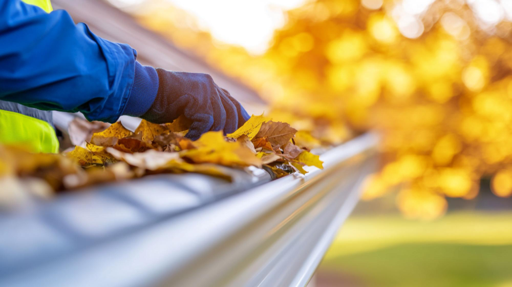 gutters image